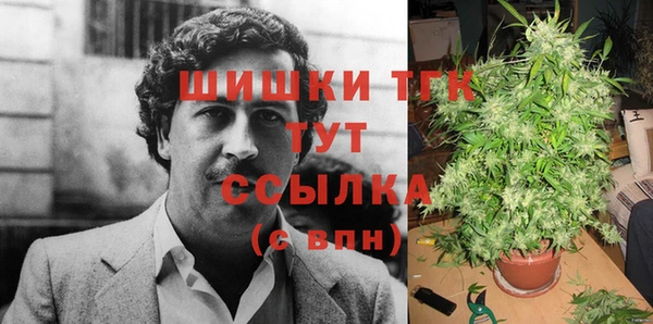 PSILOCYBIN Алексин