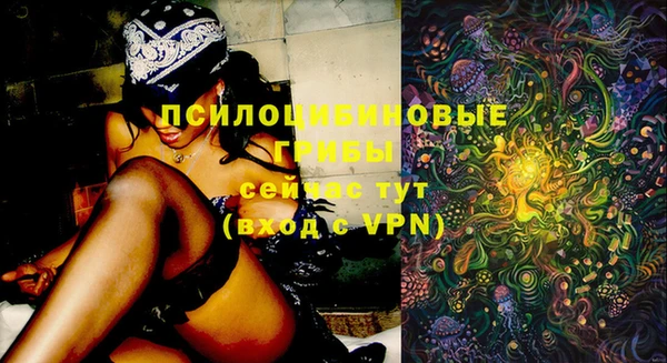 ешки Алексеевка