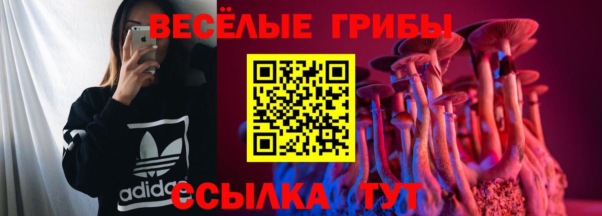 Галлюциногенные грибы MAGIC MUSHROOMS  Вход с VPN  Зеленогорск 