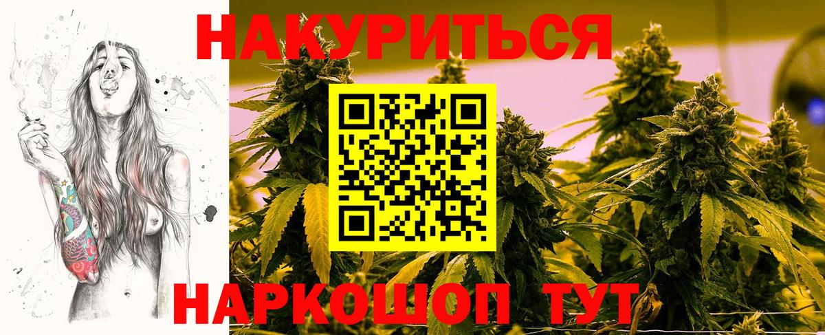Бошки марихуана конопля Зеленогорск